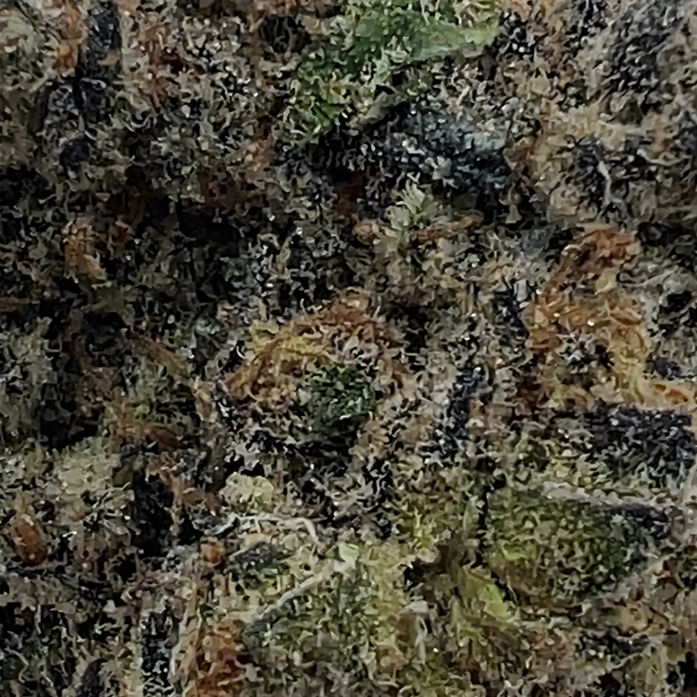 Shop Secondary Image