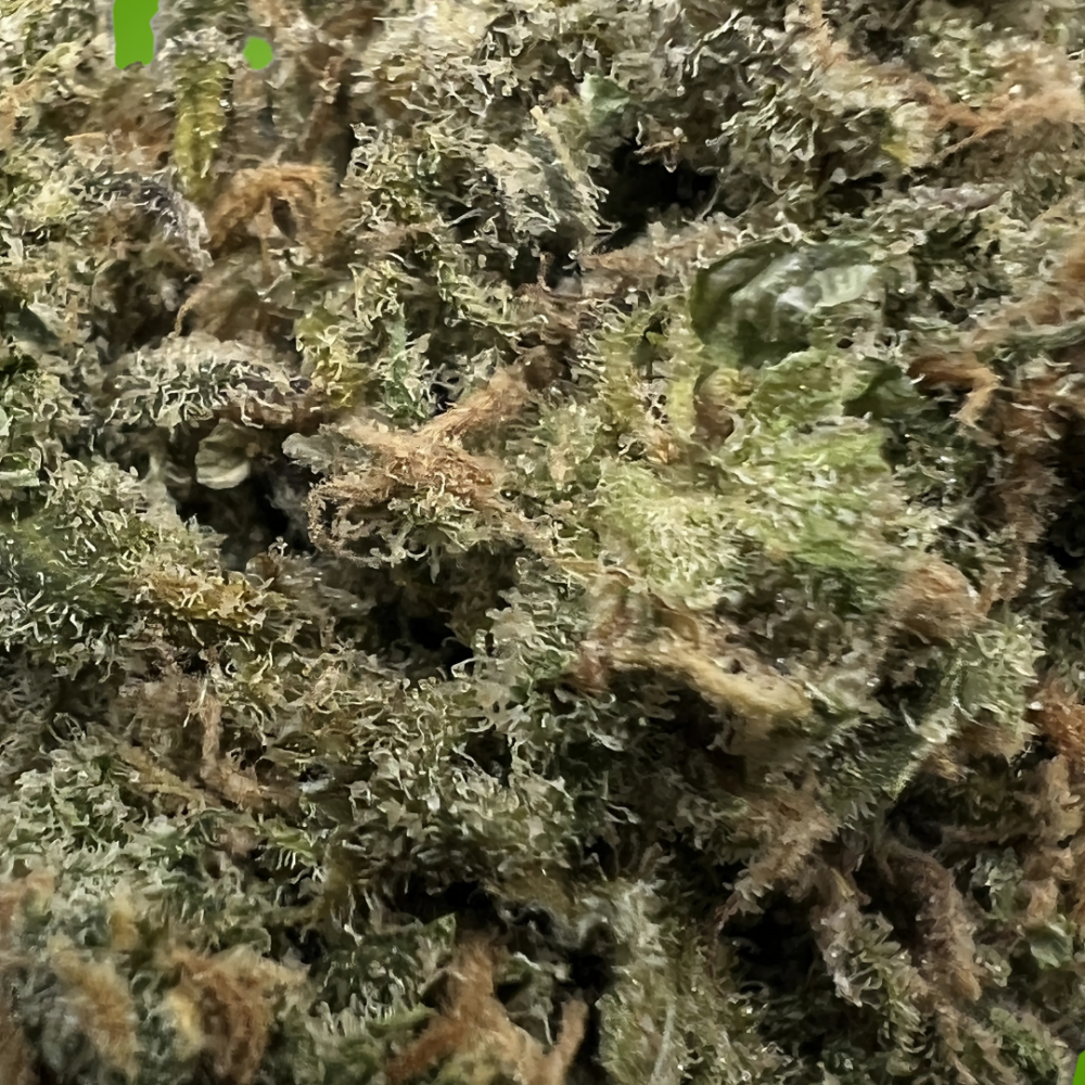 Shop Secondary Image